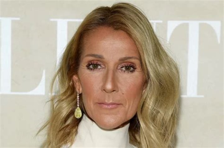 Celine Dion Shares Old Picture And Fans Can’t Believe How Different She Looks